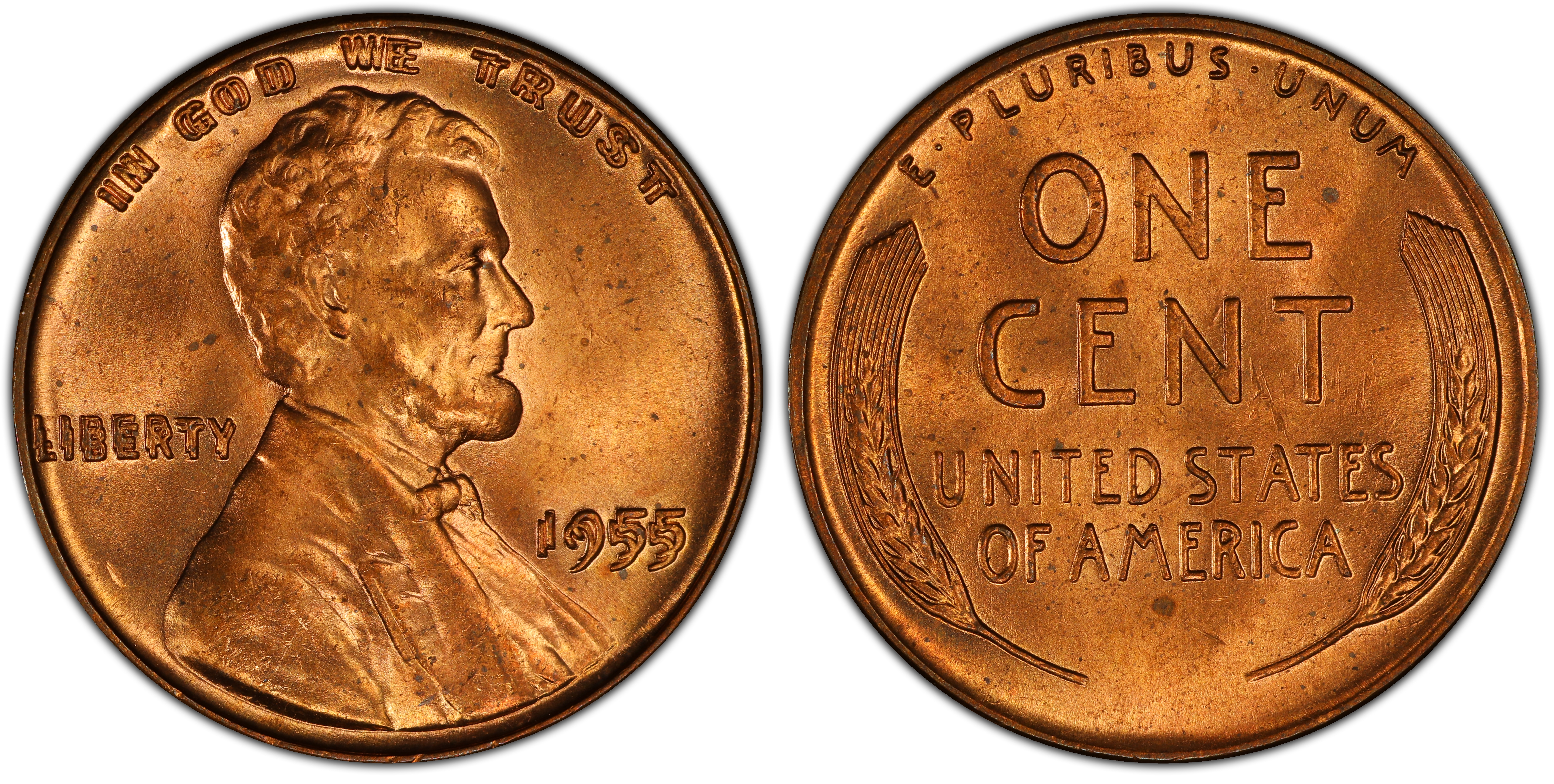 Reference photograph of a 1955 doubled-die Lincoln cent showing doubling in its date and inscriptions.